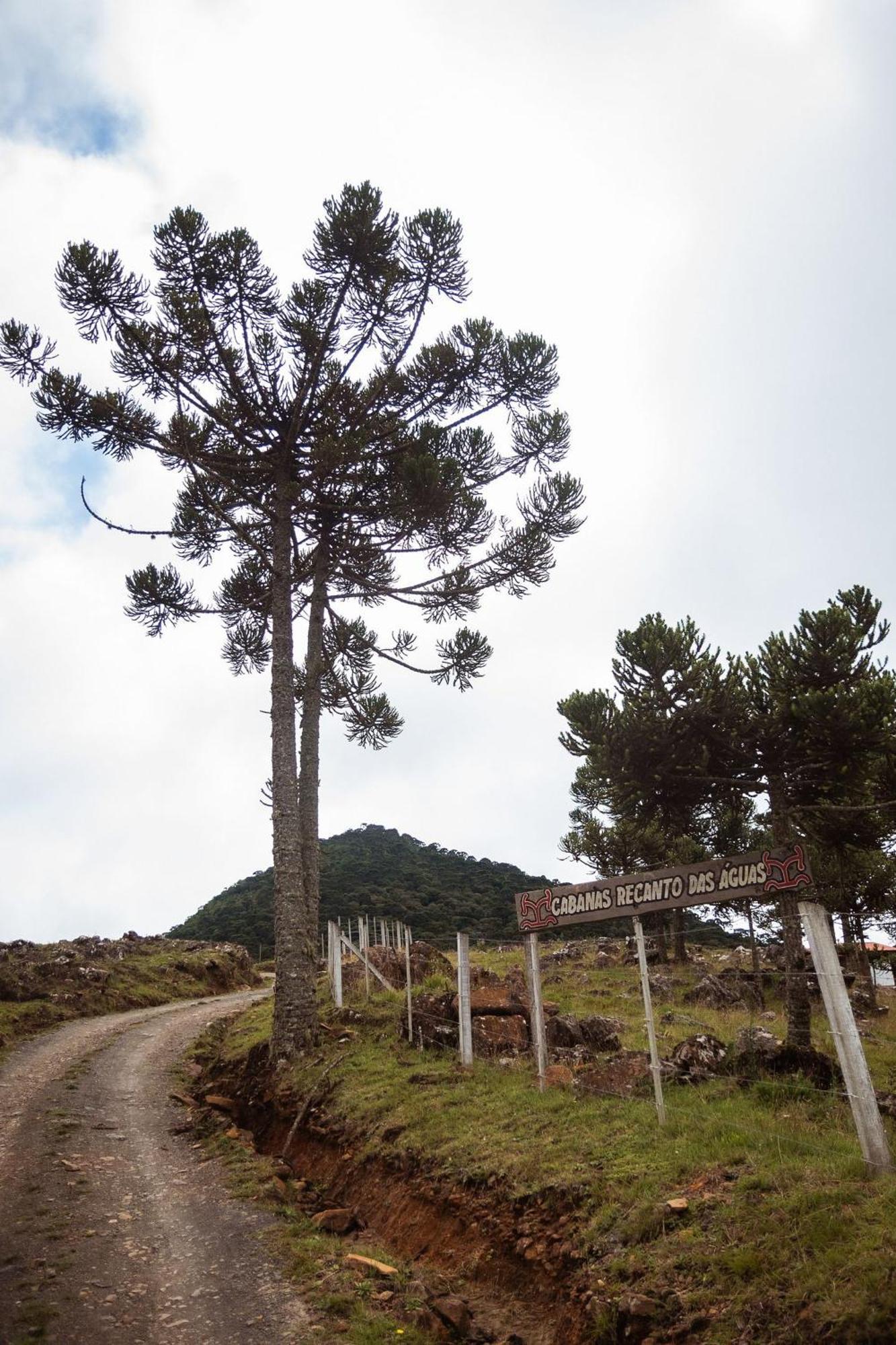 Recanto Das Aguas - Urubici - Sc Eksteriør billede