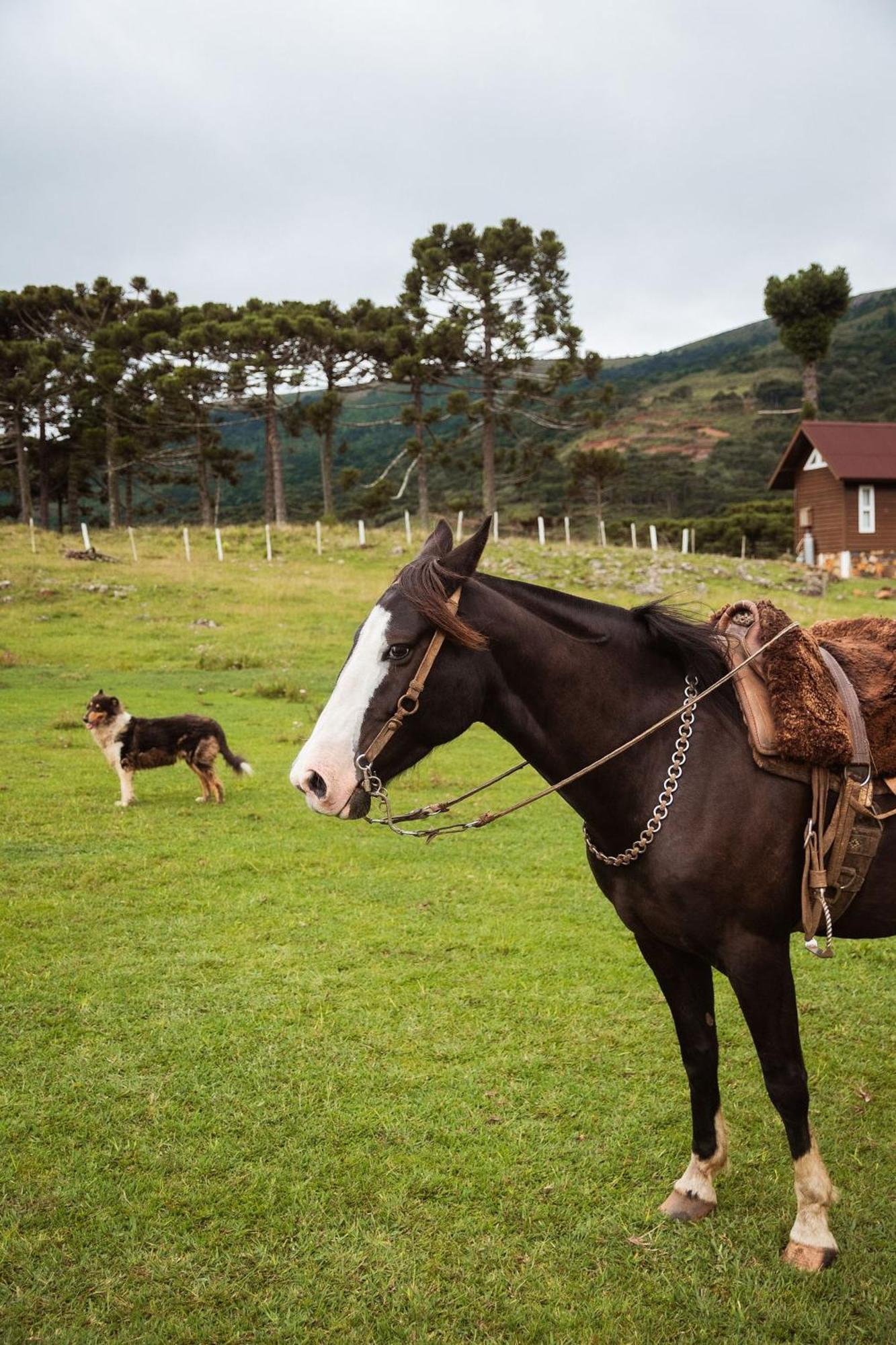 Recanto Das Aguas - Urubici - Sc Eksteriør billede